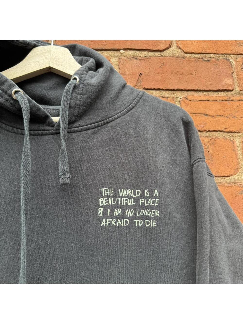 the world is a beautiful place Illusory Walls hoodie L
